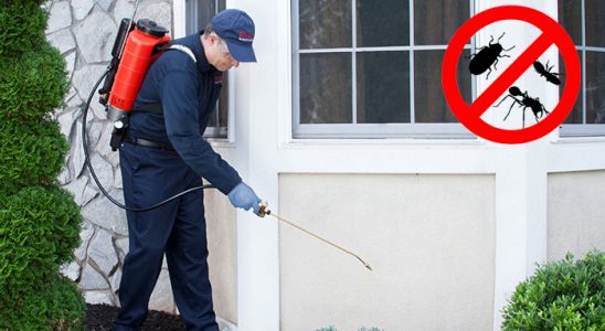 Kuyucak Kemirgen İlaçlama böcek ilaçlama ve haşere kontrolü — ilaclama-tr.com